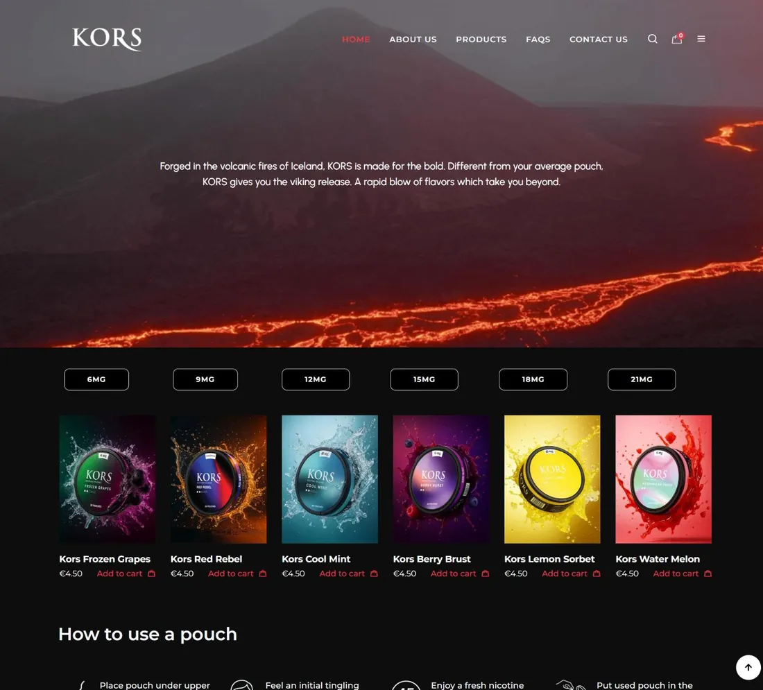 KORS website home page